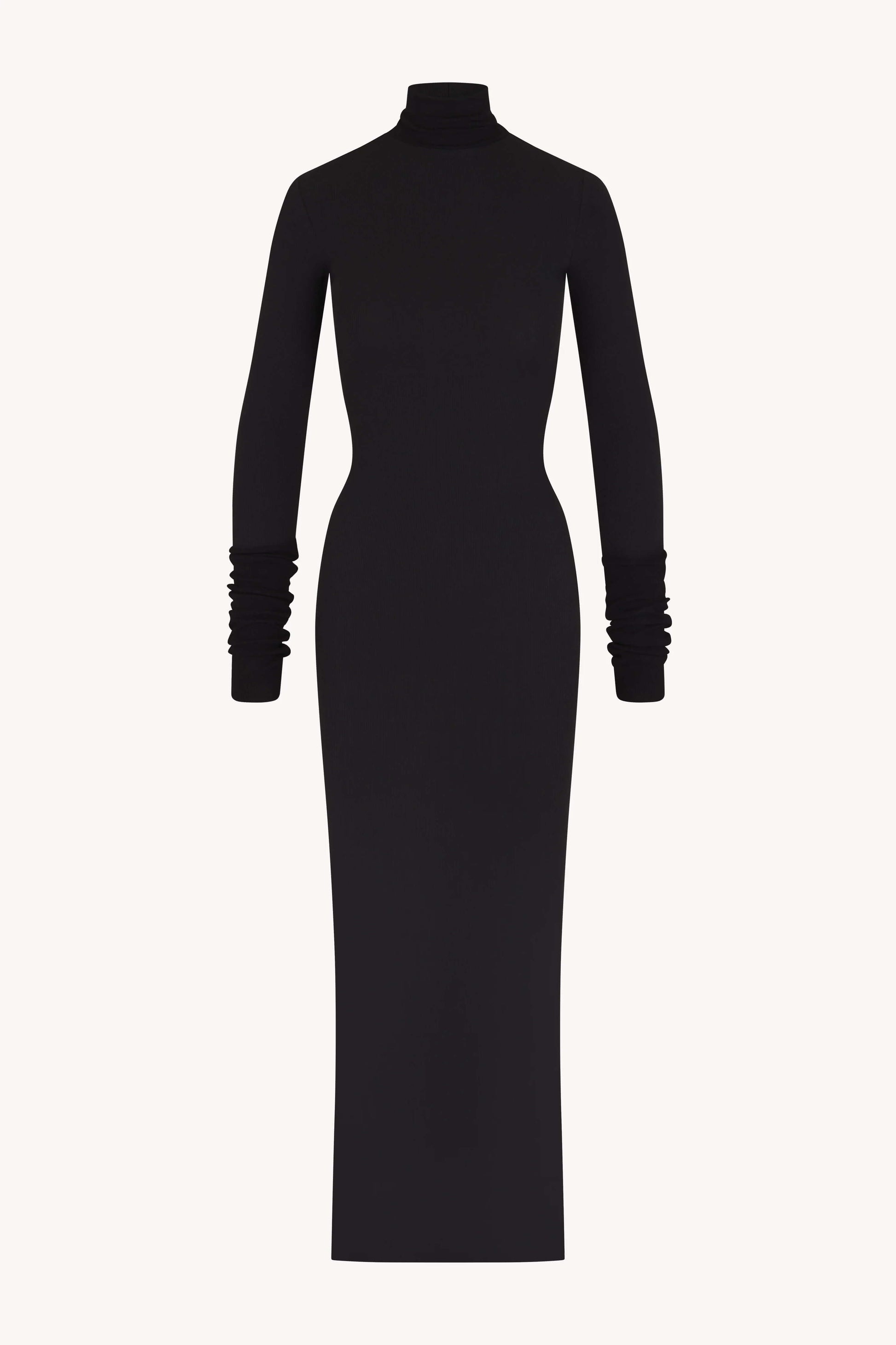 Eterne - Long Sleeve Turtleneck Maxi dress in black