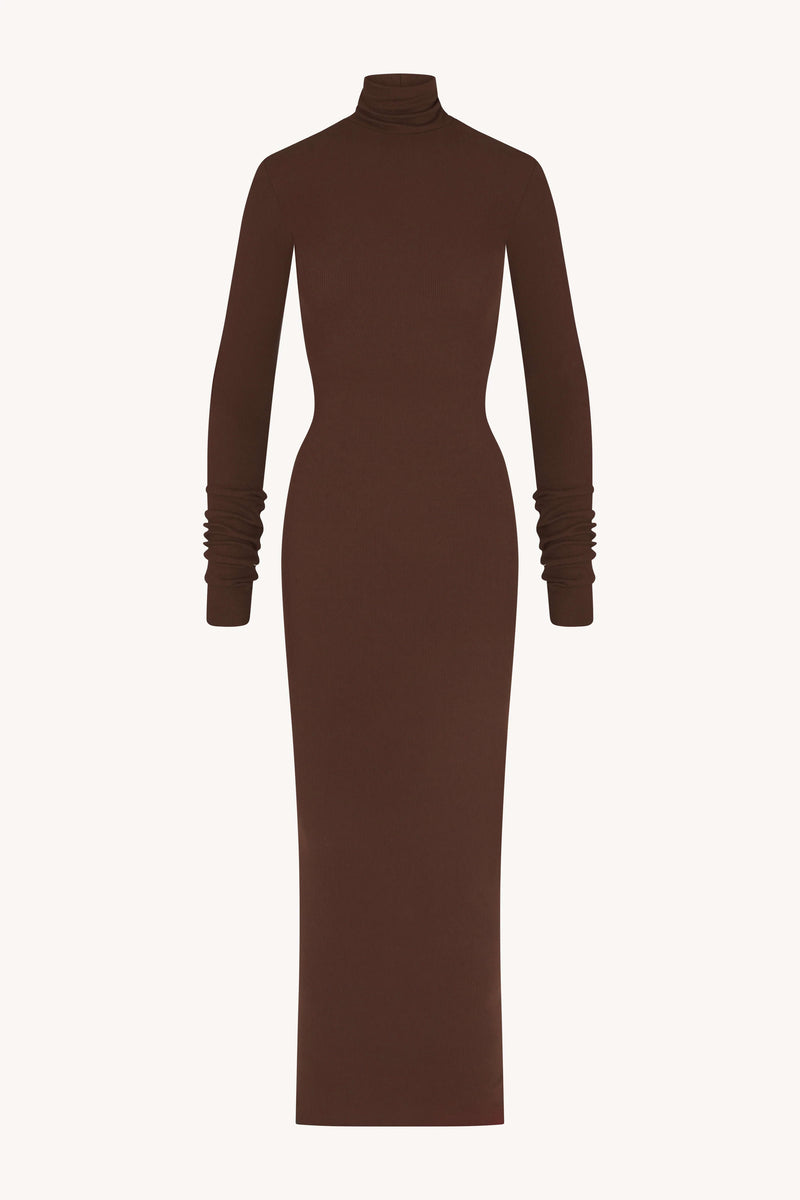 Eterne - Long Sleeve Turtleneck Maxi dress in Choclate