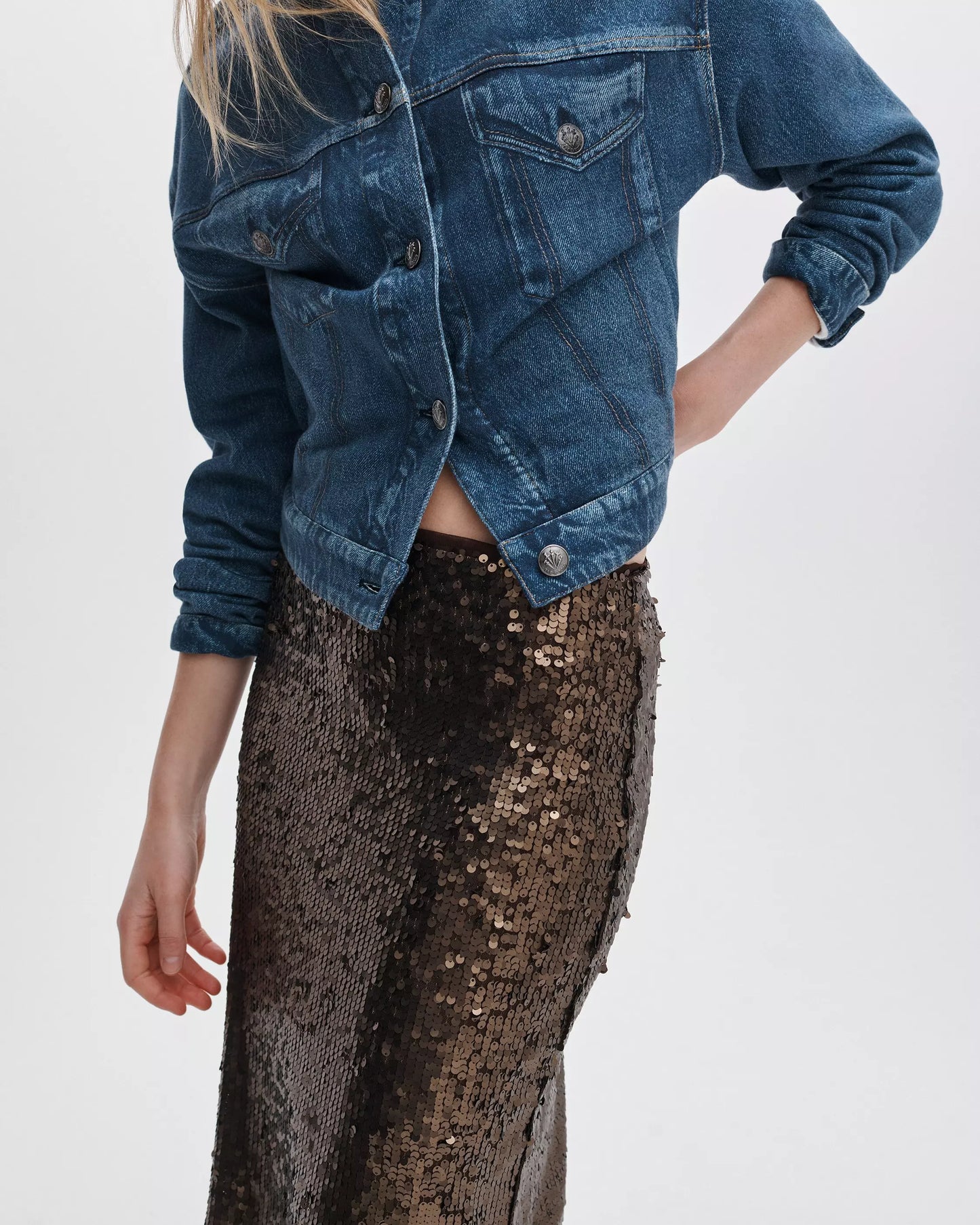 Rag & Bone - Sequin Skirt in coffee