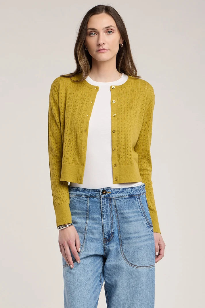 Velvet - Lavina Cardigan in Gold